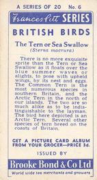 1954 Brooke Bond British Birds #6 Sea Swallow Back