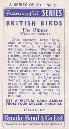 1954 Brooke Bond British Birds #11 Dipper Back