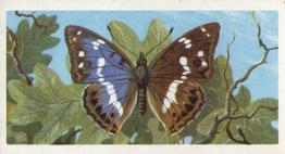 1973 Brooke Bond British Butterflies #26 Purple Emperor Front