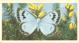 1973 Brooke Bond British Butterflies #34 Large Blue Front