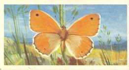 1963 Brooke Bond British Butterflies #9 Small Heath Front