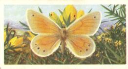 1963 Brooke Bond British Butterflies #10 Large Heath Front