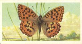1963 Brooke Bond British Butterflies #14 High Brown Fritillary Front