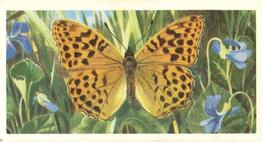 1963 Brooke Bond British Butterflies #15 Silver Washed Fritillary Front