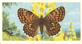 1963 Brooke Bond British Butterflies #18 Glanville Fritillary Front