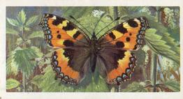 1963 Brooke Bond British Butterflies #21 Small Tortoiseshell Front