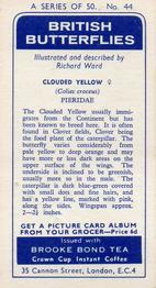 1963 Brooke Bond British Butterflies #44 Clouded Yellow Back