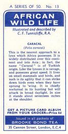 1962 Brooke Bond African Wild Life #13 Caracal Back