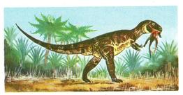 1972 Brooke Bond Prehistoric Animals #16 Megalosaurus Front