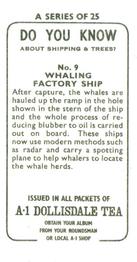 1962 A-1 Dollisdale Tea Do You Know about Shipping and Trees #9 Whaling Factory Ship Back