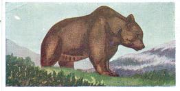 1954 Neilson's Interesting Animals #1 Brown Bear Front