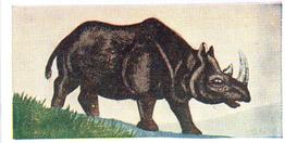 1954 Neilson's Interesting Animals #20 Black Rhinoceros Front