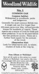 1988 Brooke Bond Woodland Wildlife #1 Common Oak Back