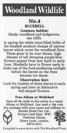 1988 Brooke Bond Woodland Wildlife #4 Bluebell Back