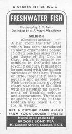 1973 Brooke Bond Freshwater Fish #6 Goldfish Back
