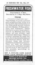 1973 Brooke Bond Freshwater Fish #29 Powan Back