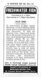 1973 Brooke Bond Freshwater Fish #33 Allis Shad Back