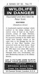 1973 Brooke Bond Wildlife In Danger #19 Bontebok Back
