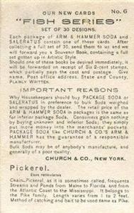 1900 Church & Co. Fish Series (J15) #6 Pickerel Back