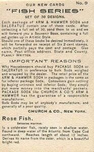 1900 Church & Co. Fish Series (J15) #9 Rose Fish Back