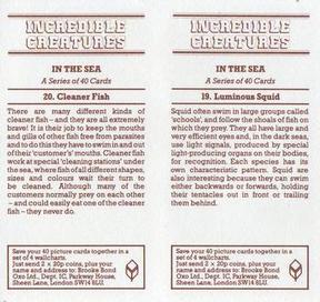 1985 Brooke Bond Incredible Creatures (Sheen Lane address)(Double Cards) #19-20 Luminous Squid / Cleaner Fish Back