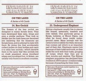 1985 Brooke Bond Incredible Creatures (Sheen Lane address)(Double Cards) #23-24 Underground Elephant / Bee Orchid Back