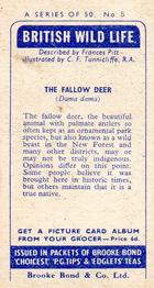 1958 Brooke Bond British Wild Life #5 The Fallow Deer Back