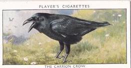 1932 Player's Wild Birds (Small) #6 The Carrion Crow Front
