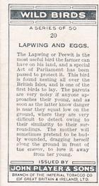 1932 Player's Wild Birds (Small) #20 Lapwing and Eggs Back