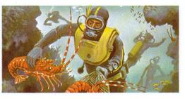 1974 Brooke Bond The Sea Our Other World #20 Spearfishing Front
