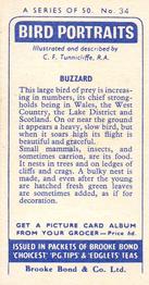 1957 Brooke Bond Bird Portraits  - Without Address #34 Buzzard Back