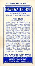 1960 Brooke Bond Freshwater Fish #17 Stone Loach Back