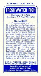 1960 Brooke Bond Freshwater Fish #38 Sea Lamprey Back