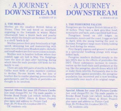 1990 Brooke Bond A Journey Downstream (Double Cards) #1-2 The Peregrin Falcon / The Merlin Back