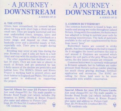 1990 Brooke Bond A Journey Downstream (Double Cards) #5-6 Common Butterwort / The Otter Back