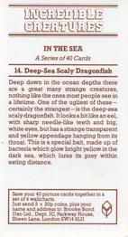 1985 Brooke Bond Incredible Creatures (Sheen Lane address) #14 Deep-Sea Scaly Dragonfish Back