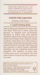 1986 Brooke Bond Incredible Creatures (Walton address without Dept IC) #7 Leaf-Cutting Ants Back