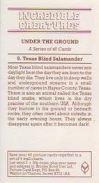 1986 Brooke Bond Incredible Creatures (Walton address without Dept IC) #9 Texas Blind Salamander Back