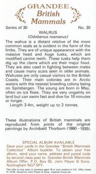 1982 Grandee British Mammals (Imperial Group plc) #30 Walrus Back