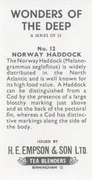 1965 Empson & Son Wonders of the Deep #12 Norway Haddock Back