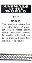 1954 Anonymous Animals of the World #7 Racoon Back