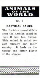 1954 Anonymous Animals of the World #9 Bactrian Camel Back