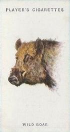 1931 Player's Wild Animals' Heads #8 Wild Boar Front