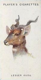 1931 Player's Wild Animals' Heads #33 Lesser Kudu Front