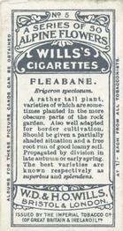 1913 Wills's Alpine Flowers #5 Fleabane Back