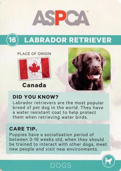 2016 ASPCA Pets & Creatures #16 Labrador Retriever Back