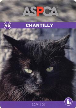 2016 ASPCA Pets & Creatures #45 Chantilly Front