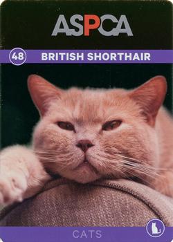 2016 ASPCA Pets & Creatures #48 British Shorthair Front