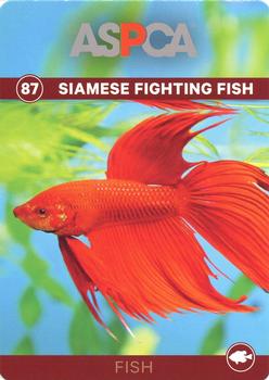 2016 ASPCA Pets & Creatures #87 Siamese Fighting Fish Front