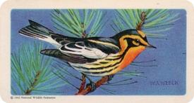1959 Brooke Bond (Red Rose Tea) Songbirds of North America #27 Blackburnian Warbler Front